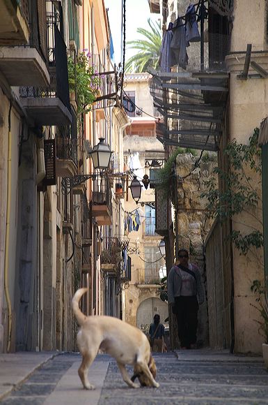 pict3969.jpg