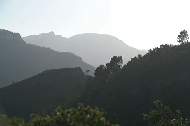 pict4094.jpg