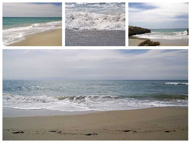 strand.jpg